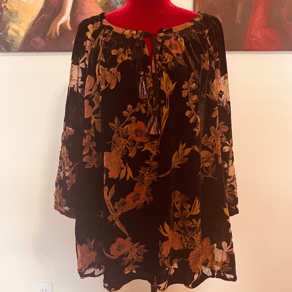 Plus Size Daniel Rainn Velvet Blouse